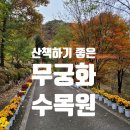 무궁화수목원 | [춘천 근교 산책하기 좋은곳] 11월 홍천 무궁화 수목원 다녀온 후기