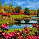 개울가 - 서산시 마애삼존불길 83 | 개울가