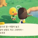 파파하우스