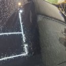 티피클럽 이미지