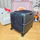 하나켄넬 이미지