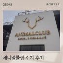 애니멀클럽 | 용인 수지 애니멀 클럽 후기 / 동물체험, 키즈카페, 주변 맛집 추천