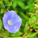 대곶중학교 이미지