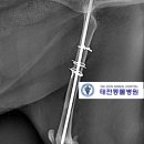 태전동물병원 이미지