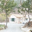 해담뜰 민박 이미지