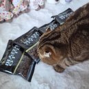 대한사료대리점 | 강아지 사료 기호성 좋은 목우촌 펫 9단 프리미엄 소프트 사료 멍수무강