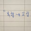 블랙맘바짐 | 마들역헬스장 블랙맘바짐 후기｜초보자 운동 우선순위 루틴으로 성장 속도 올린 경험담
