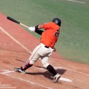 진영고등학교 이미지