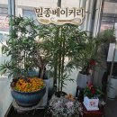 카페정연 | 명장 박운순의 ‘밀종베이커리카페’ 솔직 후기!