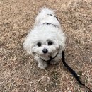 동천근린공원 이미지