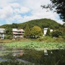 파주풀빌라워라벨호스텔 이미지