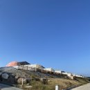 펫-오션 이미지