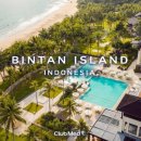 토리메드 이미지