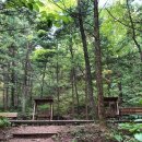 숲속의하루 이미지