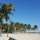 마이애미 이미지