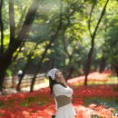 9월 24일[목] 분당 중앙공원 꽃무릇 [제임스딘리딩] 이미지