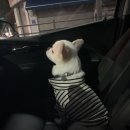 옥돌촌 이미지