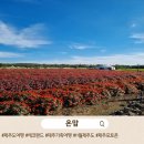 두근두근 가족 시 낭송 | 🌿 제주 에코랜드 가족여행 후기｜아이랑 가기 좋은 자연 체험 여행지