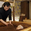 자연건강드림 이미지