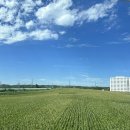 명동당구장 | 백두산여행 1일차 I 심양 서탑거리, 장백산 풀만호텔 (내돈내산 모두투어 패키지)