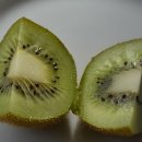 신진그린 이미지