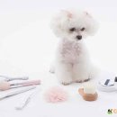 하나로동물병원 이미지