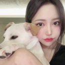 리트머스성형외과 이미지