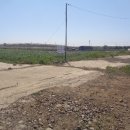 상모리-17 이미지