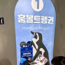 신세대정보통신자판기 | 제주 비오는날 아이와 가볼만한곳, 아쿠아플라넷 제주 수유실 정보, 특별전시+오션아레나 공연 후기