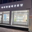 마리켄넬 이미지