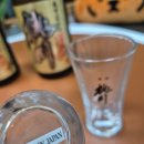 모모카서비스 이미지