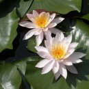 사계절농장 이미지