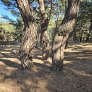 수련원길 이미지