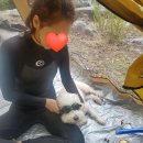 덕풍계곡솔밭야영장 이미지