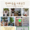 마음숲 이미지