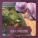 연못들4 | 영종도 아이랑 방문한 수족관 카페 내돈내산 작은연못 솔직 후기