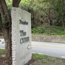 큐브 풀빌라 | 양평펜션 더큐브 애견풀빌라 (반려동물동반) 내돈내산 후기