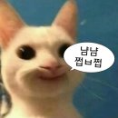 달콤명동게스트하우스 | 2023(2) / 봄부터 여름까지