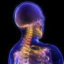 스위스 보청기 대구점 이미지