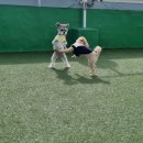 슬기유치원 이미지