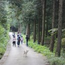 산삼자연휴양림(함양) 이미지