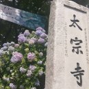 19시19도