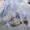 충남쌀집 | 컬리에서 본 쌀집아줌마 떡, 직접 방문 후기 (논산모양 떡집)