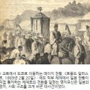 한중일 한의학 삼국지!