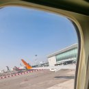 (유)제주공항렌트카 이미지