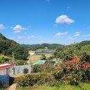 예산 예당저수지 맛집 &#39;민물나라&#39; 이미지