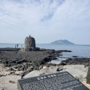 명월 팽나무군락 | 제주 휴가 3일차 - 고양이 밭(고양이), 대금식당(갈치조림), 니모메빈티지카페(커피), JDC 면세점과...