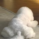 덴탈웍스 이미지