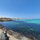 월정온누리약국 이미지