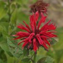 경기둘레길 여주36코스 이미지